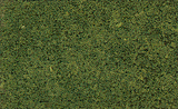 Coarse Turf -- Medium Green-1