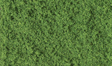 Coarse Turf -- Medium Green-2