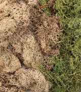 EZ Bushes - All Game Terrain -- Winter Mix-1