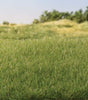 Static Grass 5/32" 4mm Tall - All Game Terrain -- Medium Green-1