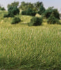 Static Grass 9/32" 7mm Tall - All Game Terrain -- Medium Green-1