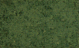 Coarse Turf -- Dark Green-1