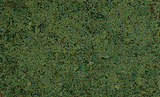 Coarse Turf -- Dark Green-1