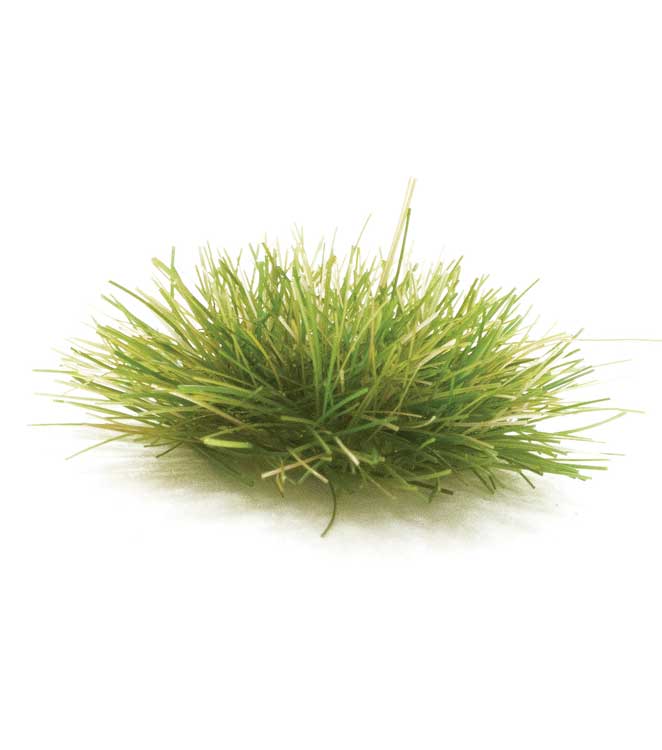 Peel 'n' Plant Tufts - All Game Terrain -- Dark Green-1