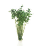 Peel 'n' Plant Tufts - All Game Terrain -- Dark Green Shrubs-1