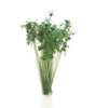 Peel 'n' Plant Tufts - All Game Terrain -- Dark Green Shrubs-1