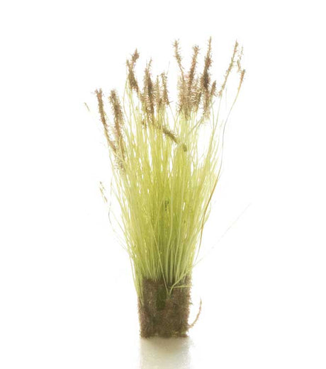 Peel 'n' Plant Tufts - All Game Terrain -- Cattails-1