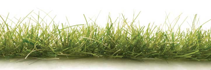 Peel 'n' Plant Tufts - All Game Terrain -- Dark Green Edging-5