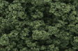 Clump Foliage(TM) - 1 Quart  946mL -- Medium Green-1