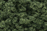 Clump Foliage(TM) - 1 Quart  946mL -- Medium Green-1