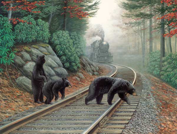 Puzzle -- Bear Tracks (500 Pieces)