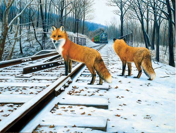 Puzzle -- Fox Tracks (500 Pieces)