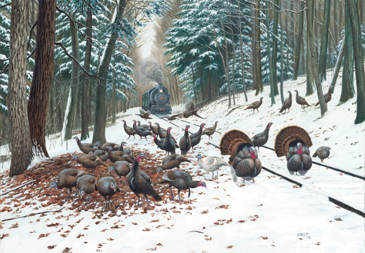 Winter Turkey Tracks Puzzle -- 500 Pieces