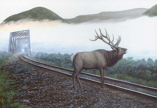 Puzzle -- Elk Tracks (550 Pieces)
