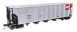 50' RD-4 Hopper 3-Pack - Ready to Run -- Alliant Energy IESX #1007, 1038, 1061-3