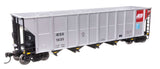 50' RD-4 Hopper 3-Pack - Ready to Run -- Alliant Energy IESX #1005, 1024, 1035-3
