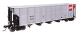50' RD-4 Hopper - Ready to Run -- Alliant Energy IESX #1008-1