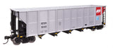 50' RD-4 Hopper - Ready to Run -- Alliant Energy IESX #1040-1
