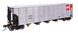 50' RD-4 Hopper - Ready to Run -- Alliant Energy IESX #1080-1