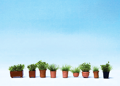 Potted Foliage Plants - Botanicals(TM) -- pkg(9)