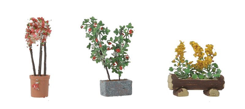 Large Ornamental Plants - Botanicals(TM) -- 3 Plants
