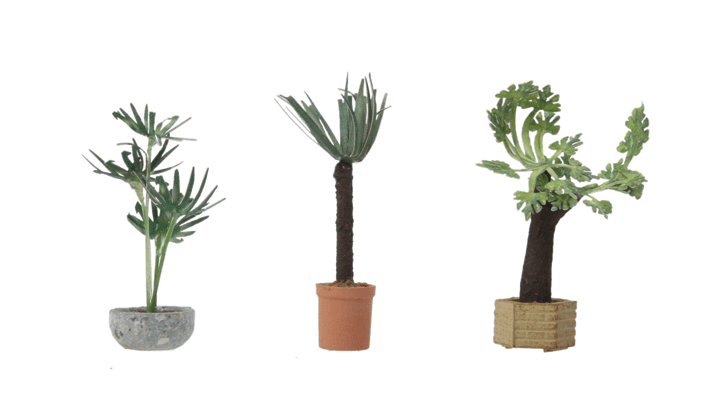 Tropical Plants - Botanicals(TM) -- 3 Plants-1