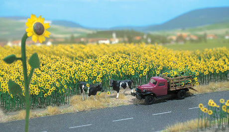 Sunflower Field -- Kit pkg(60)