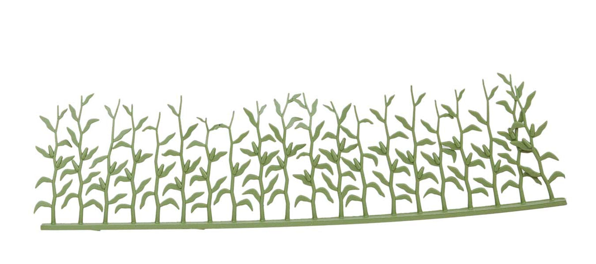 Summer Corn Field -- Green-2