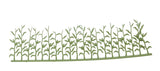 Summer Corn Field -- Green-2
