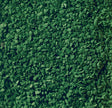Leaves Ground Cover -- Dark Green