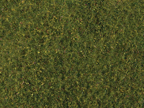 Tear & Plant Meadow Grass -- Light Green - Measures 7-7/8 x 9"  20 x 23cm