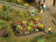Rose Plants pkg(12)