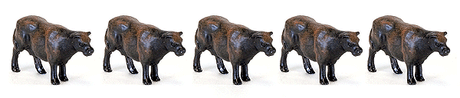 Beef Cattle pkg(16)