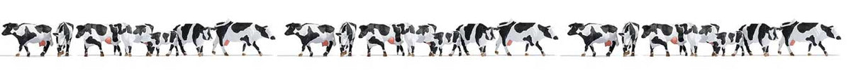 Cows -- Black and White pkg(21)