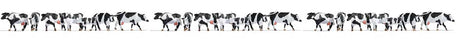 Cows -- Black and White pkg(21)